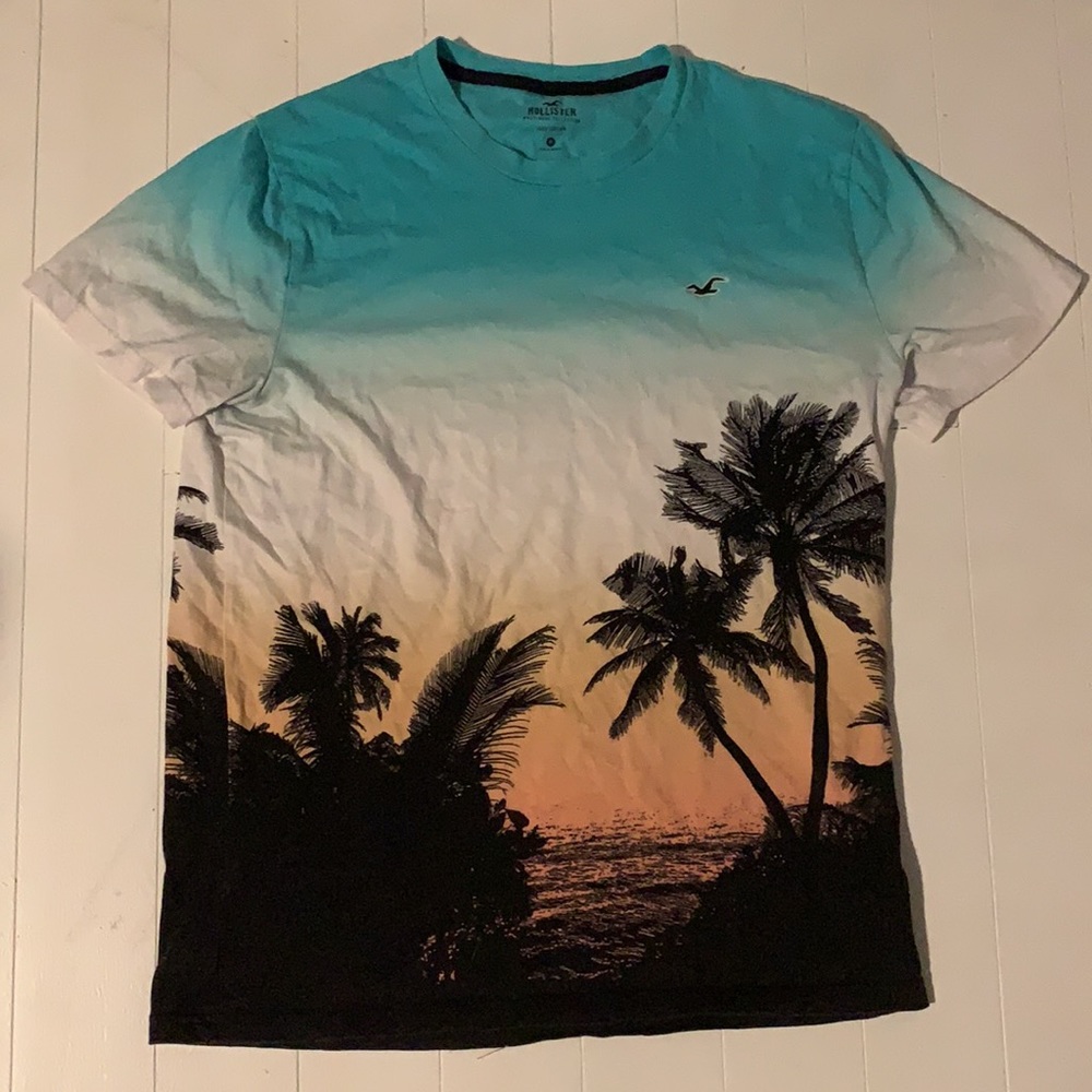 Men’s Hollister Must-Have Collection T-Shirt - Picture 2 of 4
